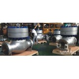 Stainless Steel Check Valve