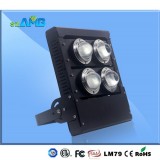 LED Flood Light