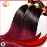 Ombre Color Human Hair Weft