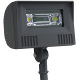 LED Flood Light