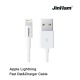 Apple Lightning Data Charger C