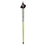 Carbon Roller Ski Poles