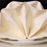 Polyester Napkin