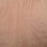 FSC 100% Rotary Sapele