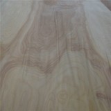 FSC 100% Rotary Birch