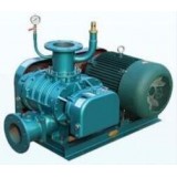 Roots Vacuum Pump