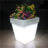 Color Changing Cube Led Flower