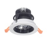 30W COB Downlight