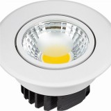 COB Ceiling Light