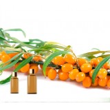 Seabuckthorn Oil