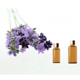 Lavender Essential Oil