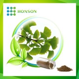 ginkgo biloba extract powder B