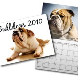 Wall Calendars