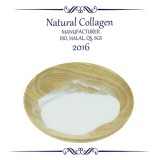 Bovine Collagen