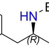 Boc-(R)-3-Amino-4-(4-methylphe