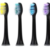 Universal Toothbrush Head