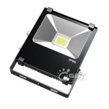 Driverless 30W HV LED Floodlig