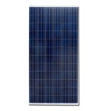 300W Poly Solar Panel