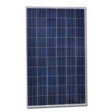 250W Poly Solar Panel