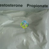 Testosterone Propionate