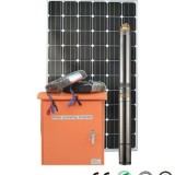 Solar Powered Water Pump