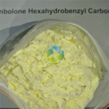 Trenbolone Hexahydrobenzyl Car