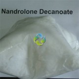 Nandrolone Decanoate