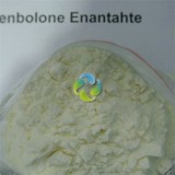 Trenbolone Enanthate