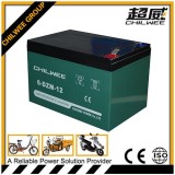 Electric Golf Car Battery Stan