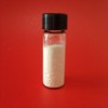 ampicillin sodium