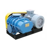 Biogas Blower