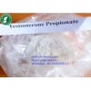 Testosterone Propionate