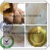 Nandrolone Decanoate 360-70-3  Yellow Steroid Powder