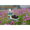 Low noise alfalfa granulator for sale  --Kingoro