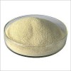 Sodium Alginate Food Grade