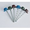 Plastic Cap Galvanized Iron Roofing Nails