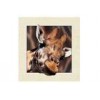 Animal Stock 5D 3D Lenticular Pictures PET Printing Service Deer image