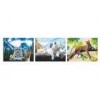 Wild Animal Flip Effect 3D Lenticular Printing Services PET/PP Lenticular Picture