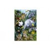 Montage Picture 3D Lenticular Pictures PET / PP Stock Pictures For Gift