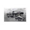 Heidelberg Print 3D Lenticular Pictures Mustang Car Stock Picture PET Lenticular