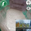 steroid hormone Testosterone Enanthate for muscle building