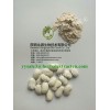 White Kidney Bean Extract phaseolin1-3%,3000 units/g , manufacturer , Shaanxi Yongyuan Bio-Tech