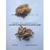 Medicinal Indianmulberry Root P.E., Chiese manufacturer, Shaanxi Yongyuan