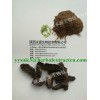 Radix Rehmanniae Extract, Rehmannia glutinosa. manufacturer supply TCM extract