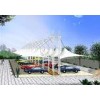 Luxury High Peak Car Shade Canopy , Custom Outdoor Canopy For Business Building