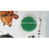 Indoor Children Button Sound Book with 33mm Round Custom Sound Module