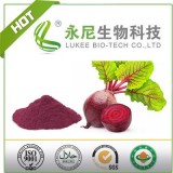 Health Beta Vulgaris Red Beet