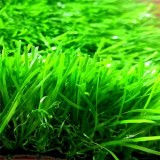 Safe Artificial/fake Grass For