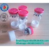 Hexarelin Human Growth Peptide Human Growth Hormone Peptides