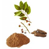 Pygeum Africanum Bark Extract